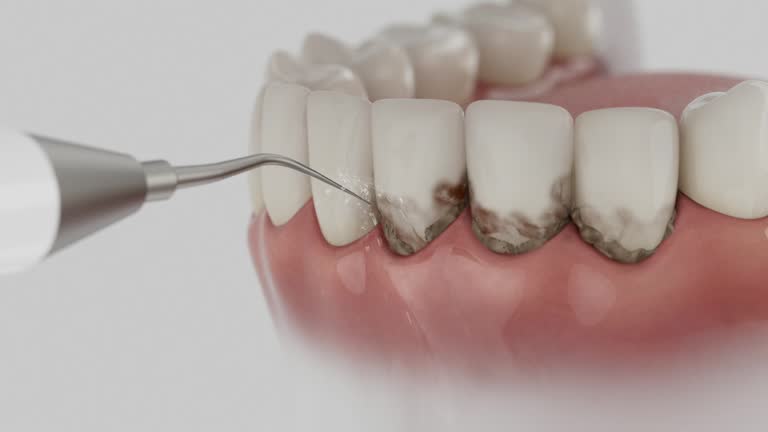 Reliable Dental contractor in Stony Point, MI by Dentist Open Now